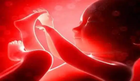 孕妇怀孕6个月,胎儿因脐带扭转"胎停育",孕妈_情况_次数_医生