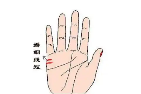 在手相学中,如果一个女人的婚姻线在末端的位置出现了分叉,然后同时