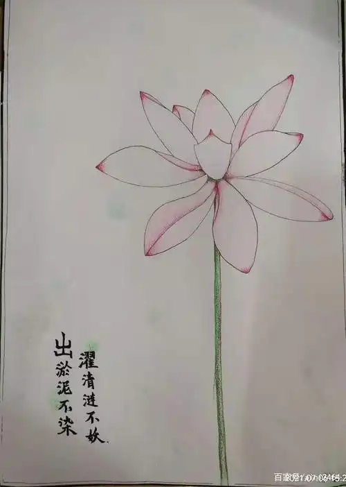 美术工作总结 七年级