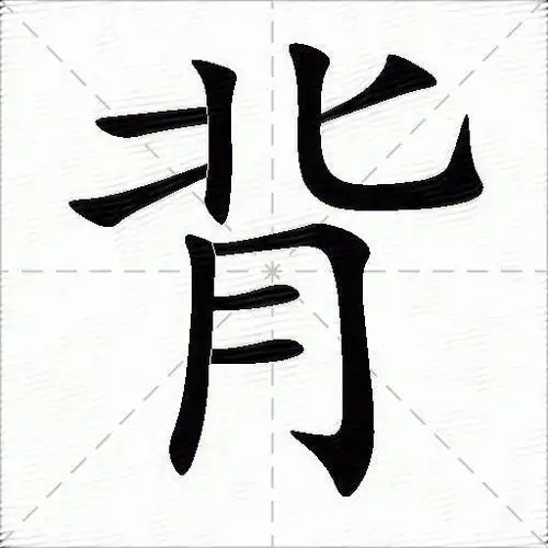 背的意思是什么_背的笔顺,笔画,部首,近义词,反义词-汉语字典