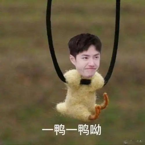 来一波王一博搞笑表情包分享出自mtjj们的神之p图