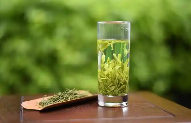 气温升高,喝杯绿茶吧!