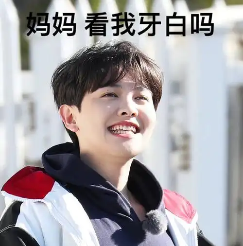 收集尤长靖新一期宝藏般的乡村的表情包