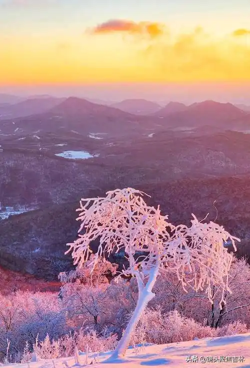 吉林通化四方山雾凇美景醉人宛若仙境