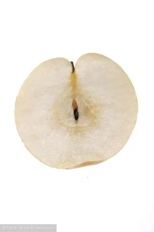 800_1200竖版 竖屏