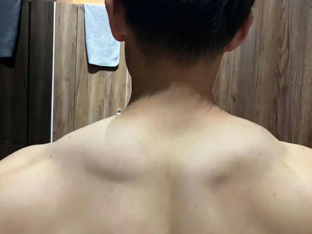 健个身把力量都用在斜方肌上了#背部训练 #健身 #斜方肌