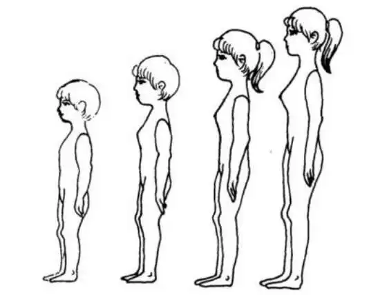 初中女生正常乳房多大初中女生1416岁胸部发育时间