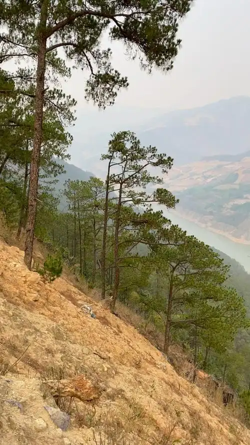 云南段的澜沧江两岸的无人区有很多无人开发过的原始森林,蕴藏着丰富