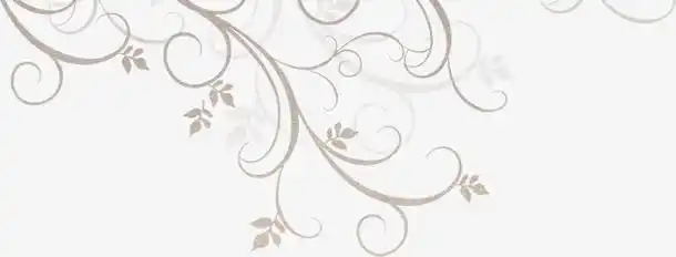 欧式高贵花纹线条