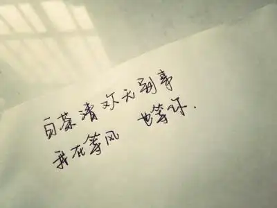 我在等风也等你背景图