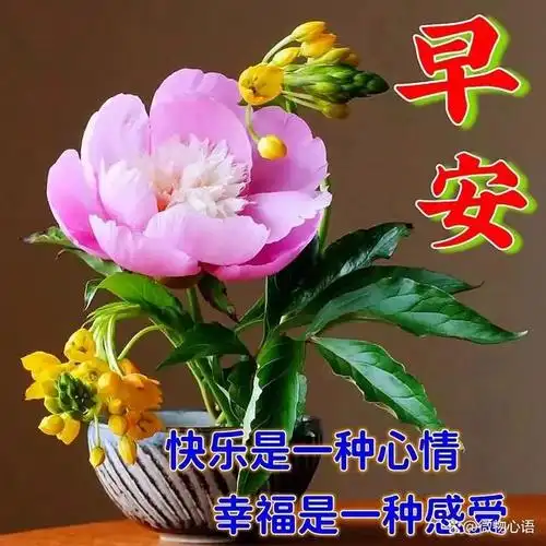 唯美的早上好祝福表情图片,吉祥如意,幸福安康!