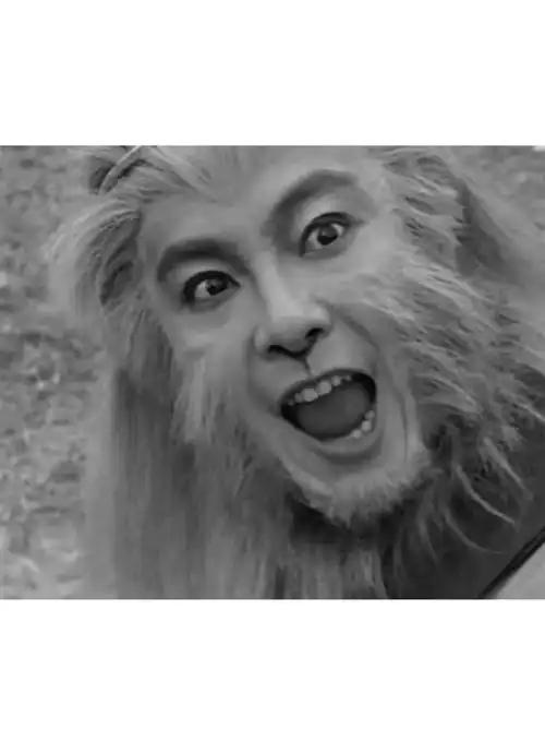 tvb西游记张卫健孙悟空张空空云海翻腾孙