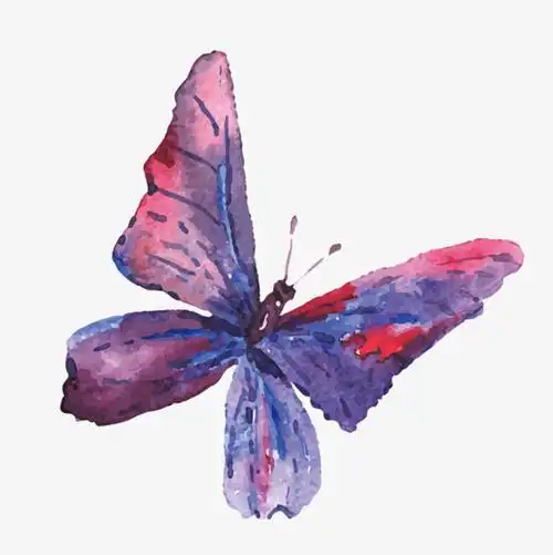 手绘蝴蝶_png素材免费下载_ 700*700像素(编号:18773481)_90设计