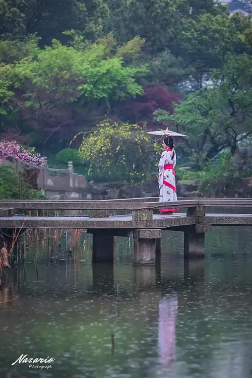 雨中游南园,道不尽的烟雨江南!