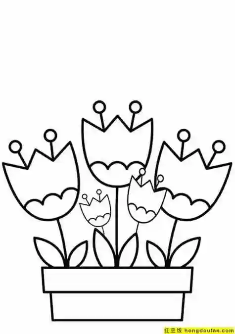 10张春日漂亮的花朵儿童卡通可涂色简笔画
