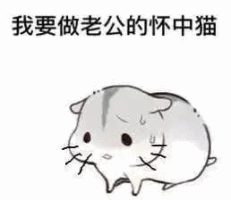 今晚不醉不归表情包 - 日常表情包