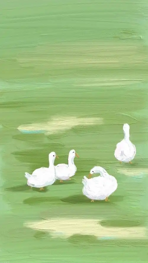 ins清新治愈壁纸丨抬头遇见的都是柔情