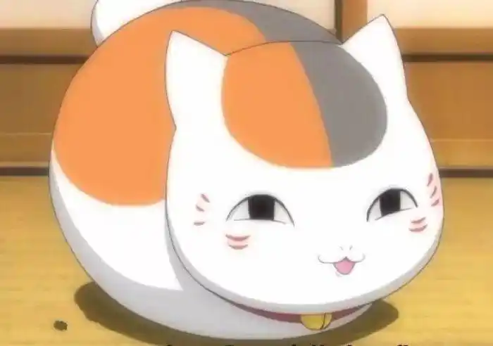 《夏目友人帐》原来你是这样的猫咪老师,为你疯狂打call!