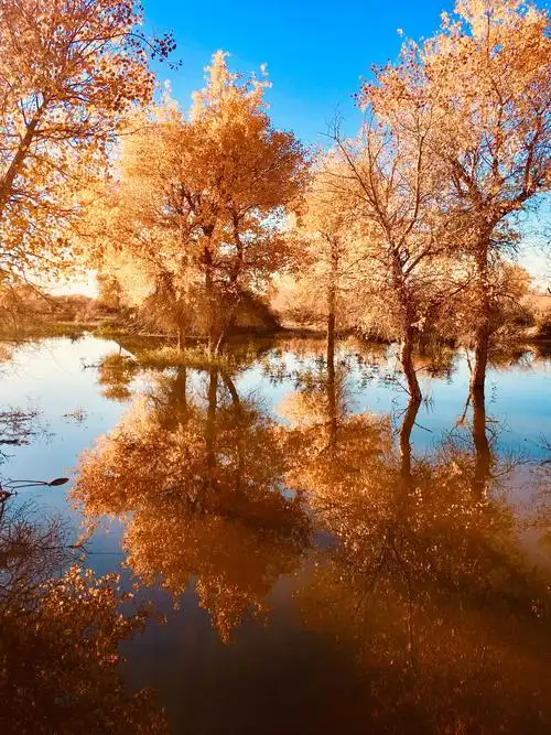 最美风景在中国