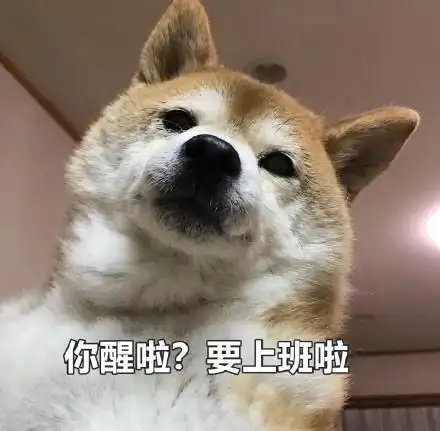 头像表情包丨老板,我是自愿回来上班的!