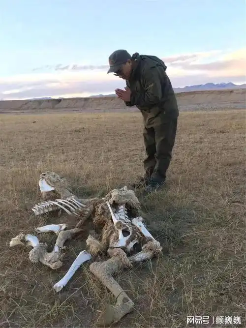 死亡谷中我鄙视的对男友竖起中指转身投向其他男人怀抱