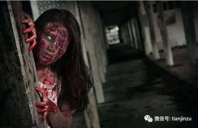 天津灵异故事 河神:鬼水怪谈 之恶狗村捉妖(下)