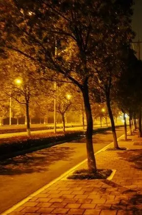 树影随风摆弄着妖娆的姿态,时好时坏的路灯下多出的影子一路相伴,彼此