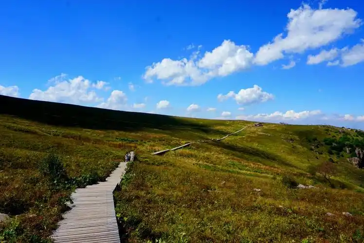 华北最高的亚高山草甸……舜王坪