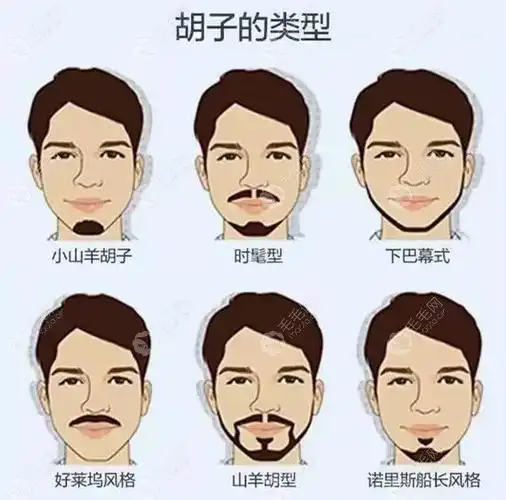 种植胡须的类型