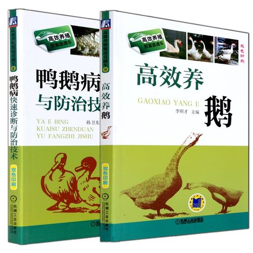高效养鹅 鸭鹅病快速诊断与防治技术 养鸭技术鸭药大全安全用药养鸭鹅