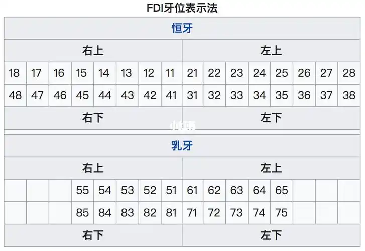 巧妙的双关!_牙医_新年去哪玩_小朋友_正畸_口腔_母婴_育儿经验