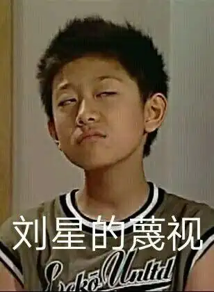 刘星的蔑视( 家有儿女刘星表情包 )_刘星_家有_蔑视_儿女表情