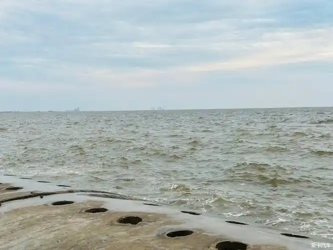 【精彩大比拼】天津东疆港亲海公园