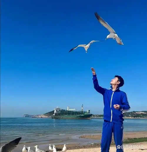 贾乃亮黄景瑜评论区互怼,原因竟是如此,网友直呼:有味道了