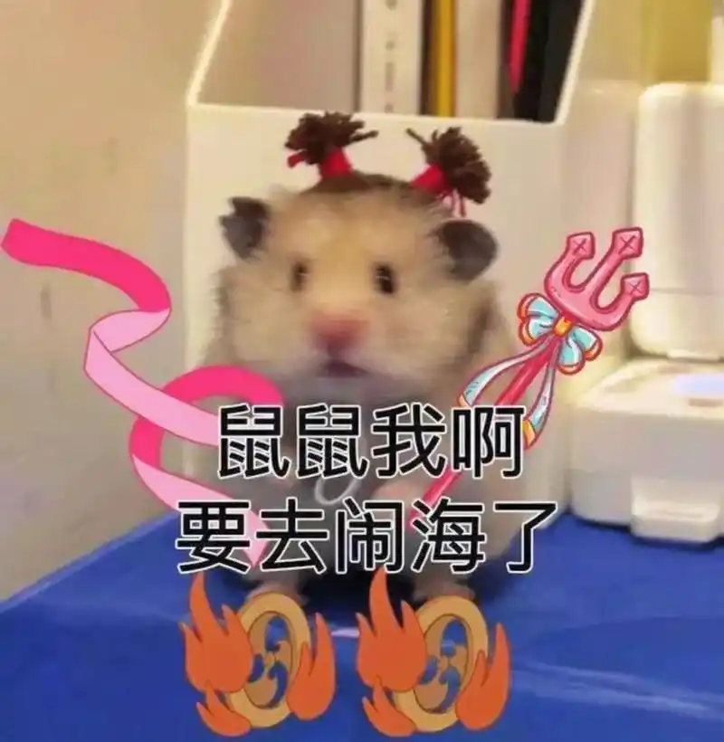 鼠鼠表情包.9999闹海去咯#鼠鼠我呀 #表情包 #鼠了算了 - 抖音