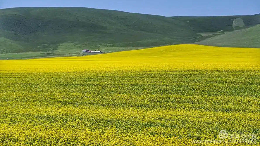 2018年夏川甘青自驾游(七)最美的风景在路上