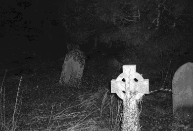 411_280gif 动态图 动图