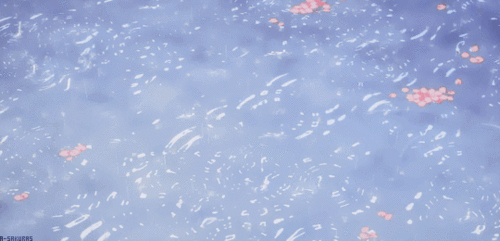 动漫动图/宫崎骏