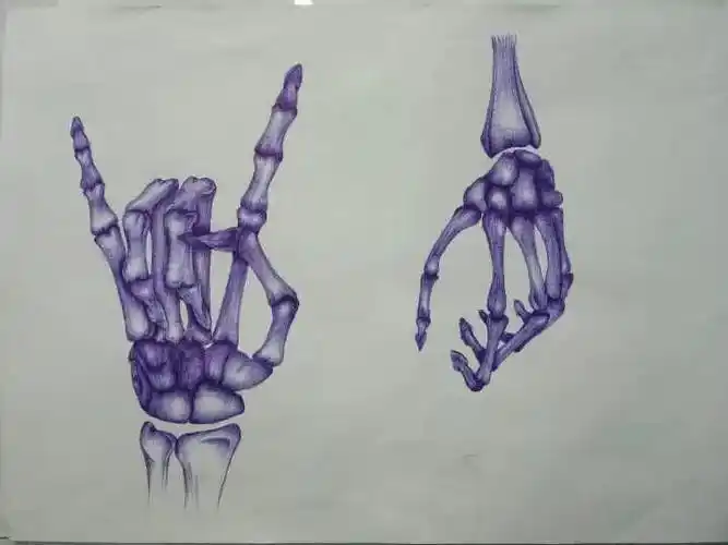 逆天甘肃大学生竟把骨头画成这样简直就是经典的灵魂展示