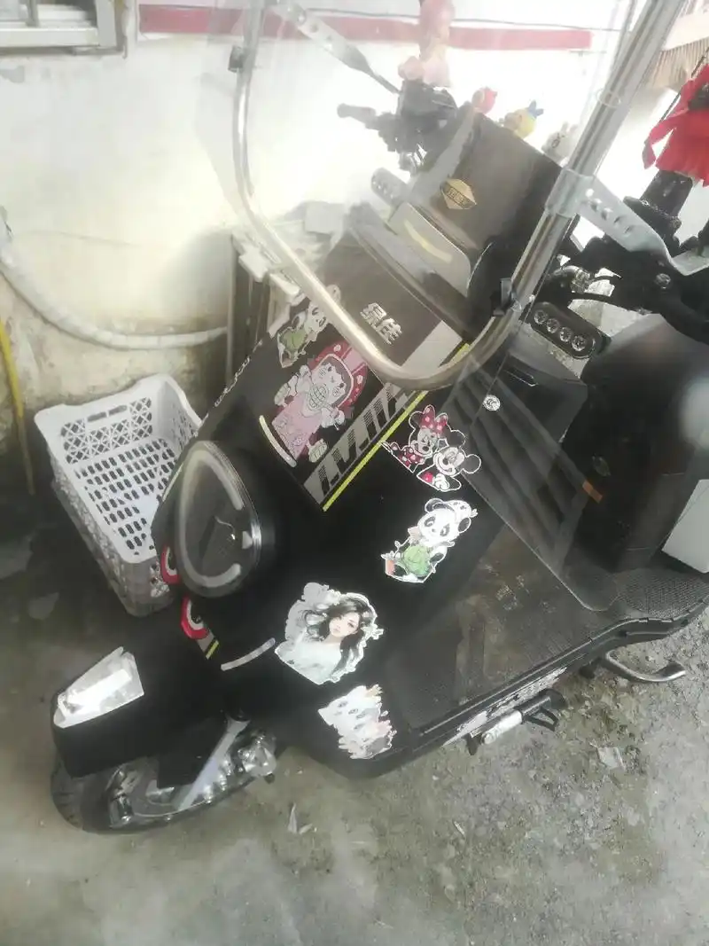 新国标电动车 ,急转一辆绿佳国标6个电瓶三个档位