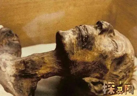 埃及木乃伊吃人图片,可以制作成各种食用方法