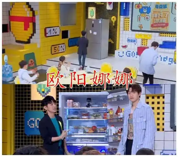 白敬亭的冰箱,欧阳娜娜的冰箱,郑爽的