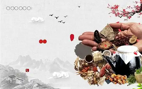 中国风水墨风中医养生中药调理宣传