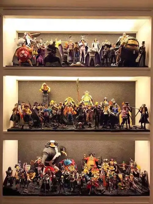 手办一面墙 宅男一套房