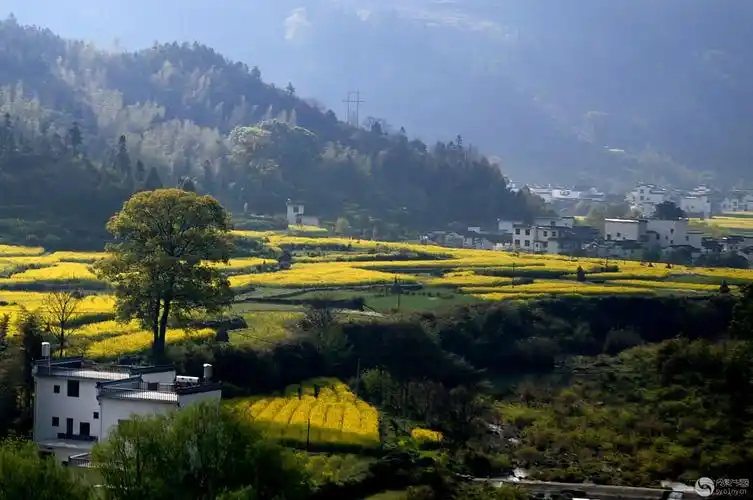 美丽乡村五-行摄风光-光影中国网-36.01ny.cn - powered by discuz!
