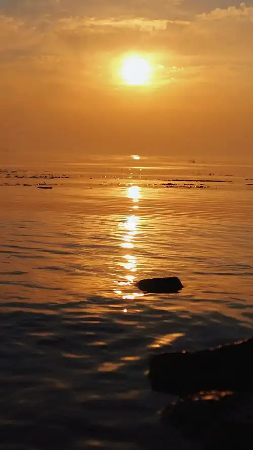 安安静静看风景