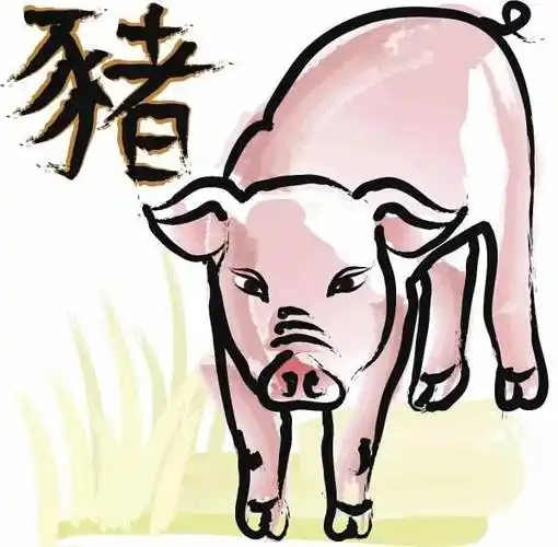 1983年属猪2020年运势(1983年属猪2020年运势女) - 生肖 - 精美文字