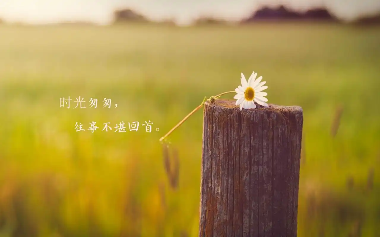 时光匆匆的经典句子配图