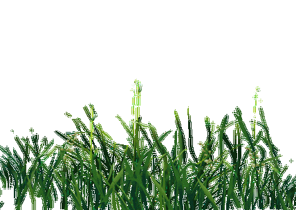 450_320gif 动态图 动图