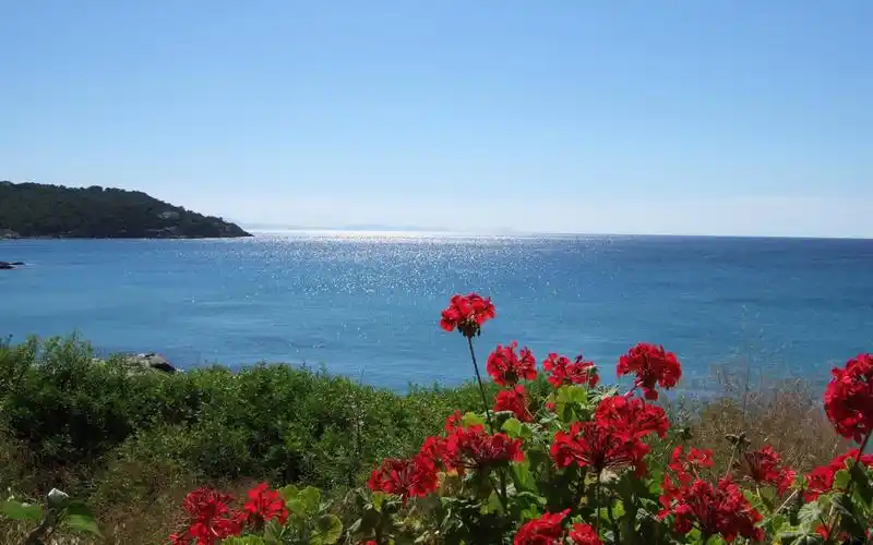 爱琴海壁纸 _ 图片网